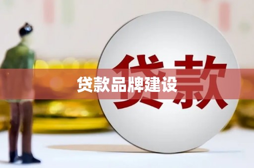 巧家贷款品牌建设