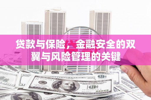 隆昌贷款与保险，金融安全的双翼与风险管理的关键