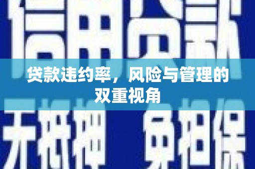 剑河贷款违约率，风险与管理的双重视角