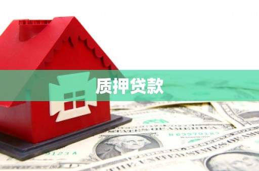 长白质押贷款