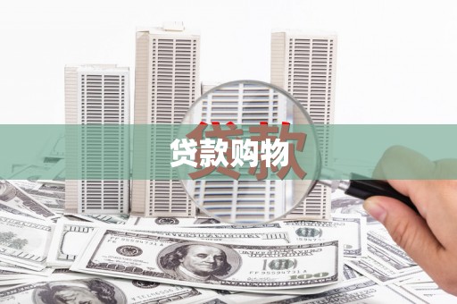 巧家贷款购物
