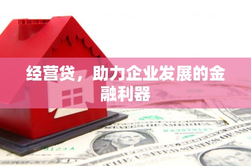 西岗经营贷，助力企业发展的金融利器