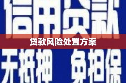 富阳贷款风险处置方案
