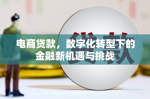 大宁电商贷款，数字化转型下的金融新机遇与挑战