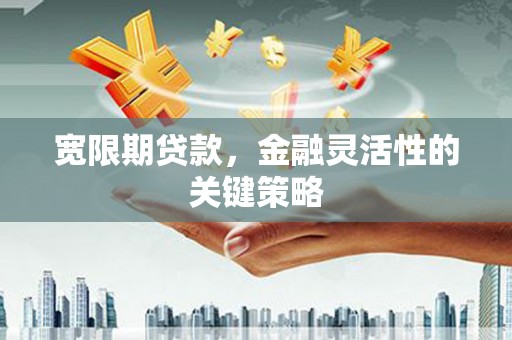 施甸宽限期贷款，金融灵活性的关键策略