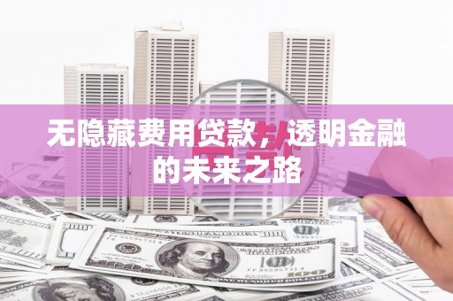 西峡无隐藏费用贷款，透明金融的未来之路