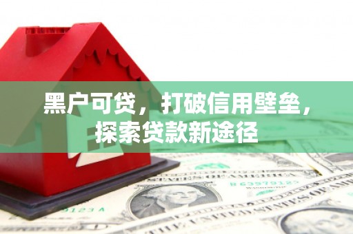 梨树县黑户可贷，打破信用壁垒，探索贷款新途径