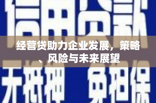 洮北经营贷助力企业发展，策略、风险与未来展望