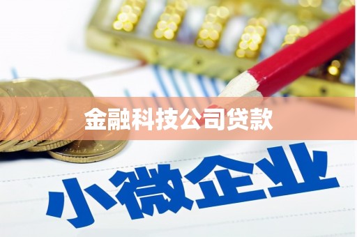 浉河金融科技公司贷款
