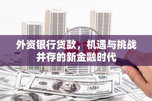 江永外资银行贷款，机遇与挑战并存的新金融时代