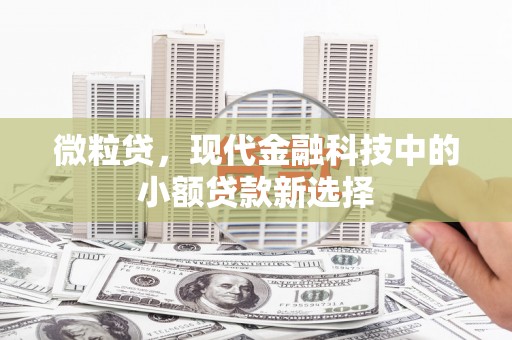 崇仁微粒贷，现代金融科技中的小额贷款新选择