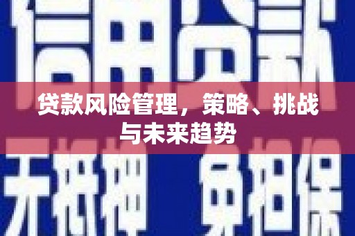 开平贷款风险管理，策略、挑战与未来趋势