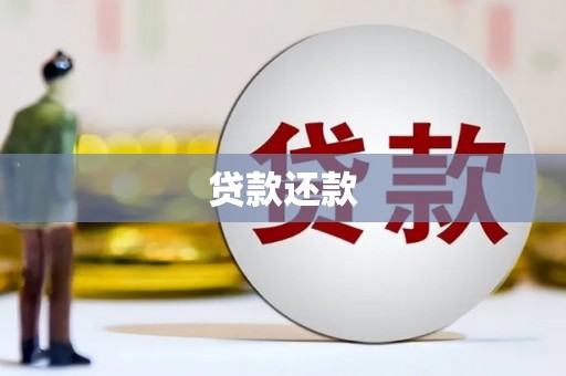 云和贷款还款