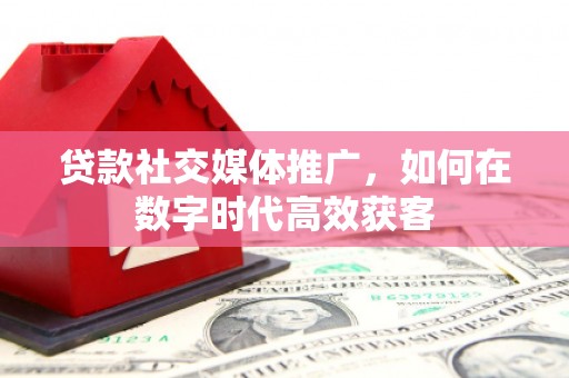 柳南贷款社交媒体推广，如何在数字时代高效获客