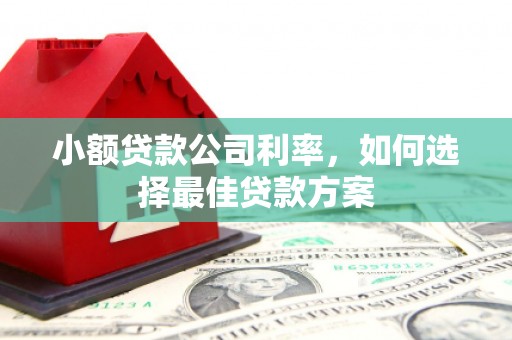 宣威小额贷款公司利率，如何选择最佳贷款方案