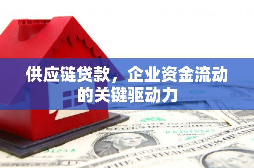 泽普供应链贷款，企业资金流动的关键驱动力