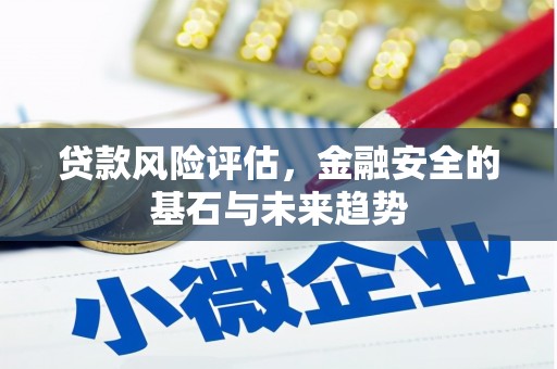 民丰贷款风险评估，金融安全的基石与未来趋势