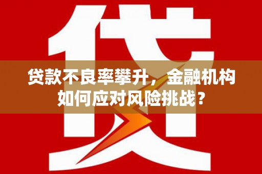 康马贷款不良率攀升，金融机构如何应对风险挑战？