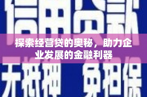 维西探索经营贷的奥秘，助力企业发展的金融利器