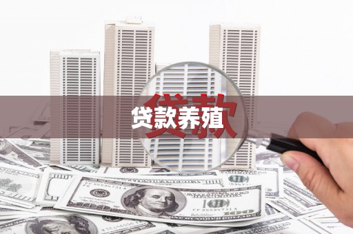 灵石贷款养殖
