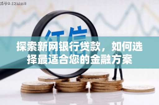 民丰探索新网银行贷款，如何选择最适合您的金融方案