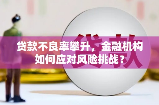 会理贷款不良率攀升，金融机构如何应对风险挑战？