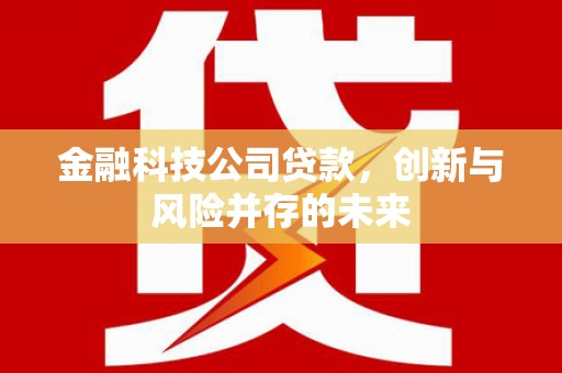 盐湖金融科技公司贷款，创新与风险并存的未来