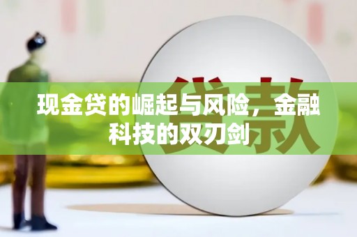 沙坡头现金贷的崛起与风险，金融科技的双刃剑