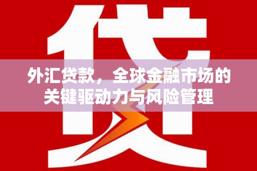 措勤外汇贷款，全球金融市场的关键驱动力与风险管理