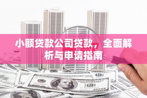 田林小额贷款公司贷款，全面解析与申请指南
