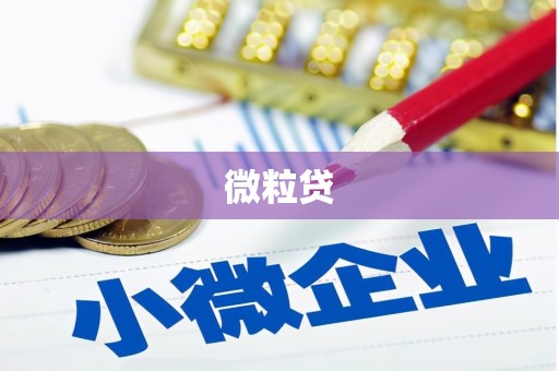 建昌微粒贷