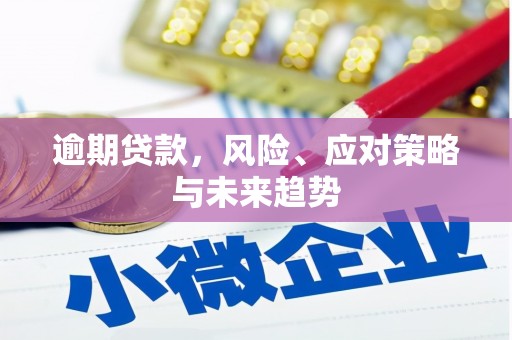 炉霍逾期贷款，风险、应对策略与未来趋势