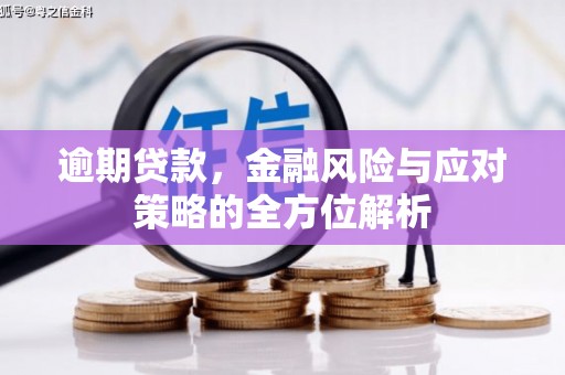 新郑逾期贷款，金融风险与应对策略的全方位解析