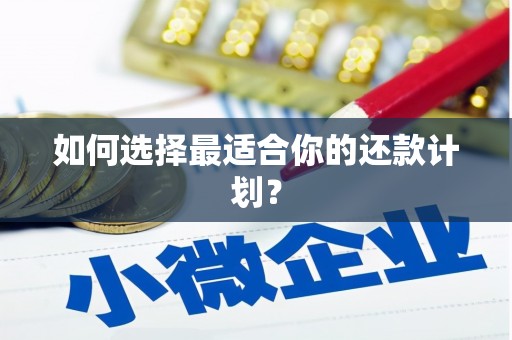 高安如何选择最适合你的还款计划？
