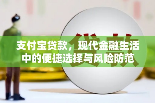 昭阳支付宝贷款，现代金融生活中的便捷选择与风险防范