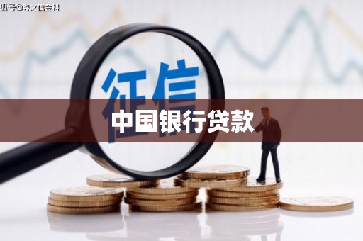 镇原中国银行贷款