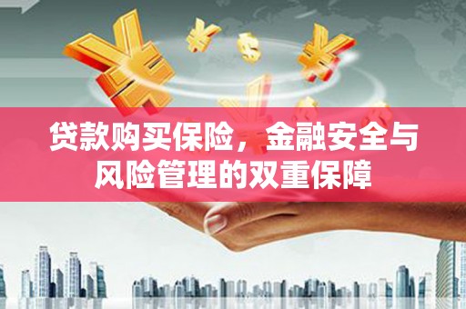 新蔡贷款购买保险，金融安全与风险管理的双重保障