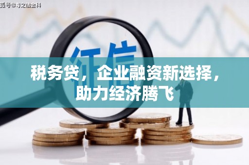 揭东税务贷，企业融资新选择，助力经济腾飞