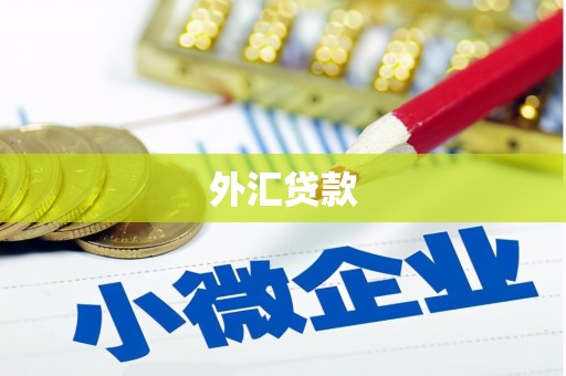 花坛外汇贷款