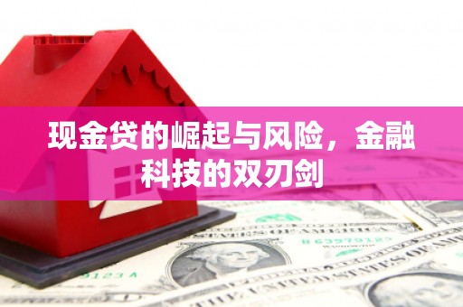阳春现金贷的崛起与风险，金融科技的双刃剑