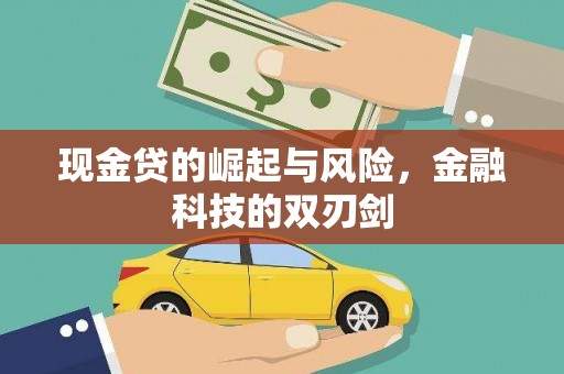 武川现金贷的崛起与风险，金融科技的双刃剑