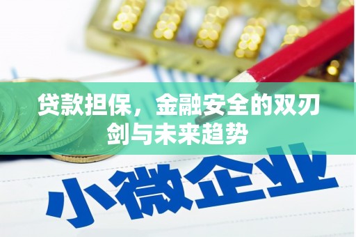 林西贷款担保，金融安全的双刃剑与未来趋势