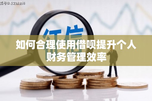 那玛夏如何合理使用借呗提升个人财务管理效率