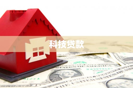 大林科技贷款
