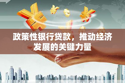 乐昌政策性银行贷款，推动经济发展的关键力量