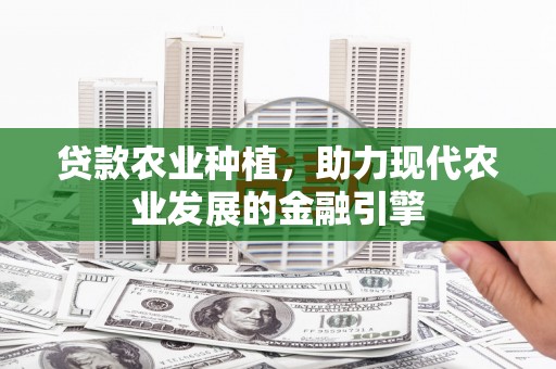 新民贷款农业种植，助力现代农业发展的金融引擎