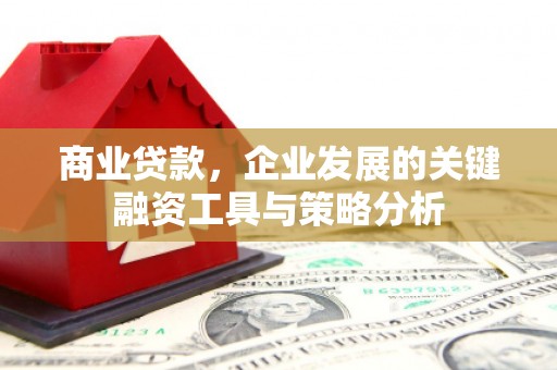 烈山商业贷款，企业发展的关键融资工具与策略分析