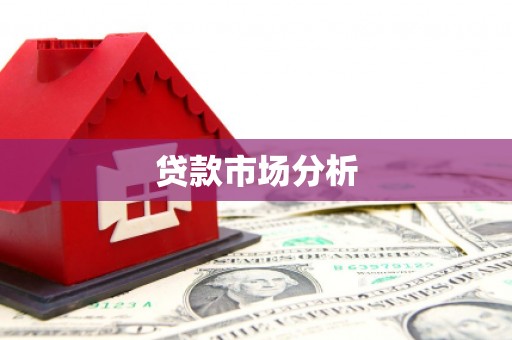 大武贷款市场分析
