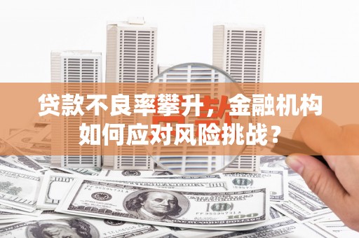 合水贷款不良率攀升，金融机构如何应对风险挑战？