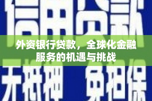 成武外资银行贷款，全球化金融服务的机遇与挑战